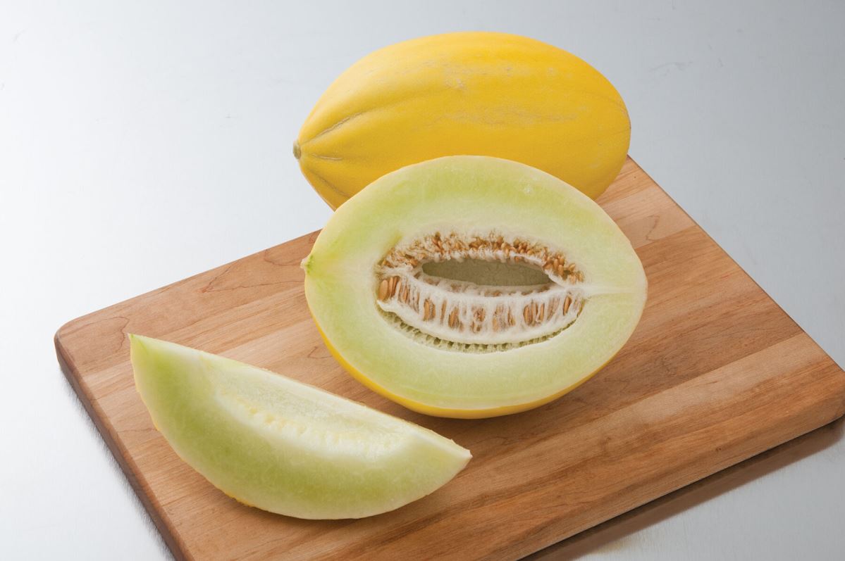 Brilliant – Melon Seed